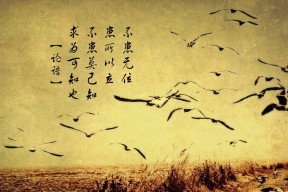 开运体育电脑版-西甲裁判语义分析系统提升判罚一致性效果，西乙裁判