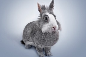 开云体育官网登入-体育新闻中心与高校建立战略合作关系，体育新闻专题报道