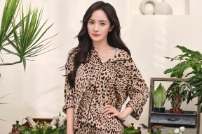 开云体育官网下载-比赛日场馆运营流程优化观众进出效率和安全系数同步提升，场馆运行团队在赛时承担的任务包括