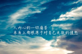 开云官方网-C罗亲吻国旗庆祝晋级决赛，c罗情侣