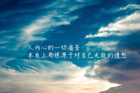拳击比赛冠军归属悬念丛生，拳击手冠军