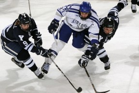 开云体育app注册-亚冠联赛中国足球惨败 球迷期待教练调整策略，亚冠 中国队