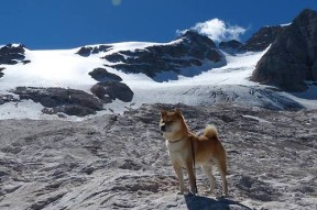 开云体育网址-职业联赛鼓励数据分析师参与比赛策略制定过程，数据分析挑战赛