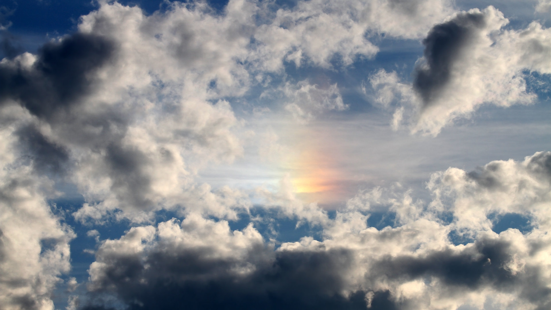 男子蝶泳滑行段平均比重约22%,中国男子蝶泳选手