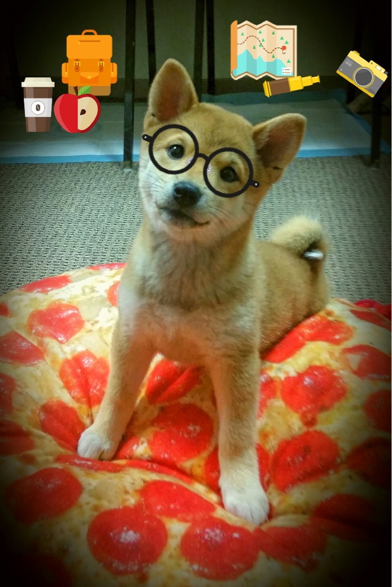 哈斯克女子100米自由泳决赛亮点纷呈,哈斯克 游泳