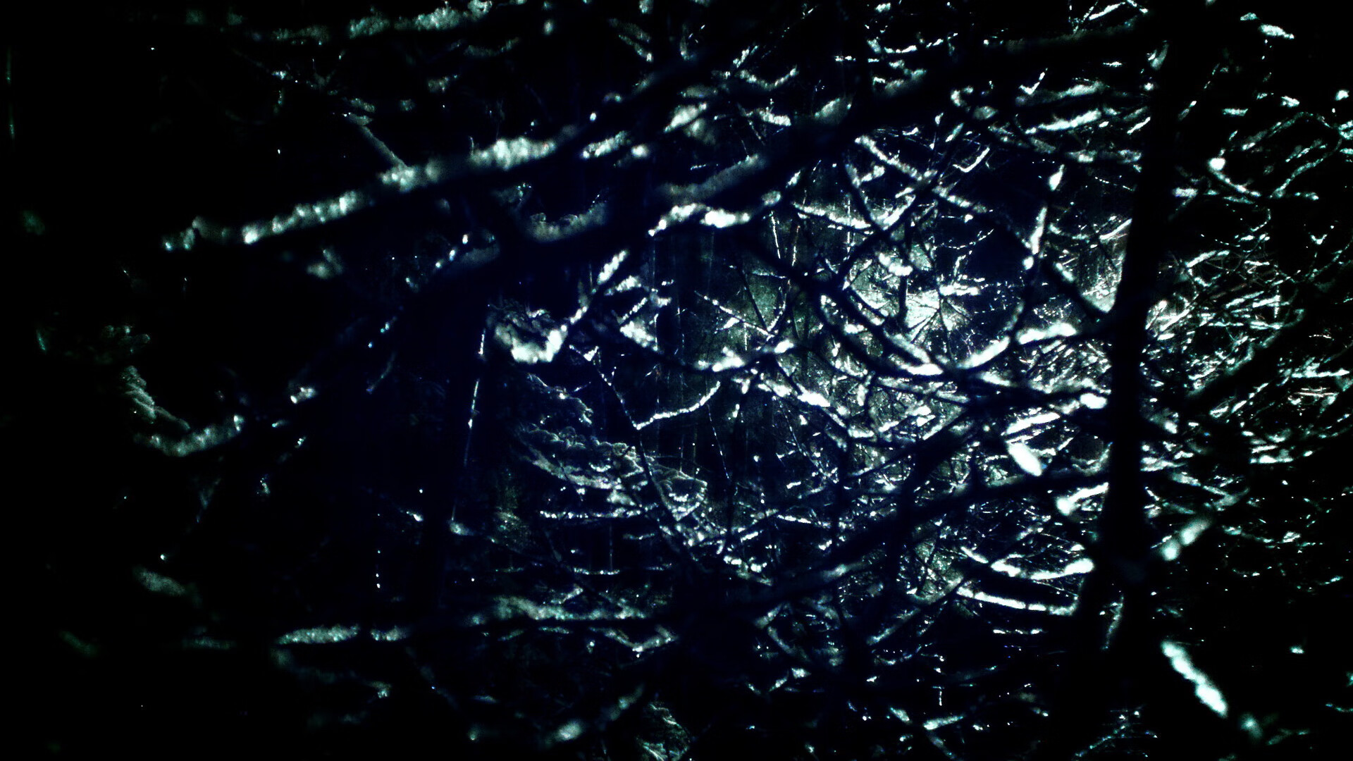 哈斯克女子100米自由泳决赛亮点纷呈,哈斯克 游泳