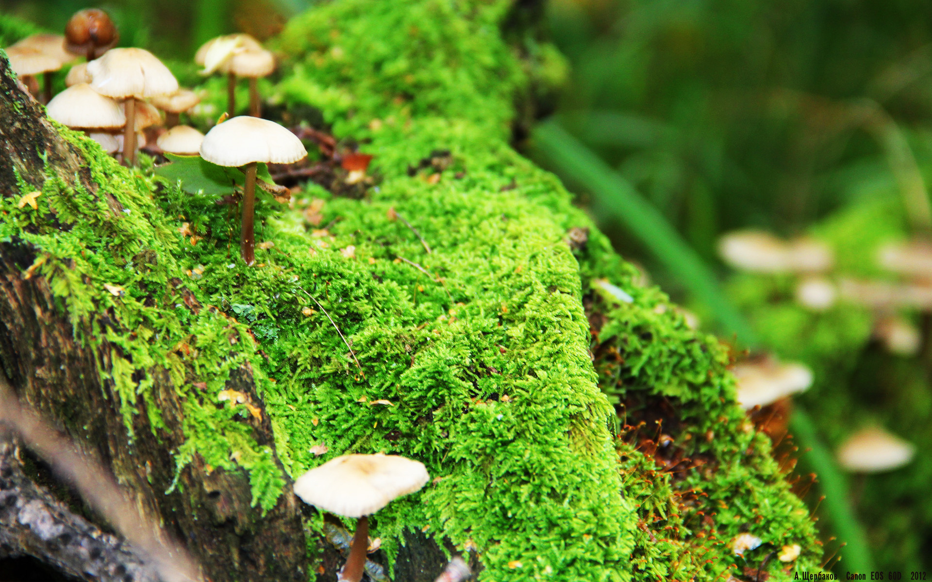 女子足球国家队体能训练计划公布,女子足球训练营