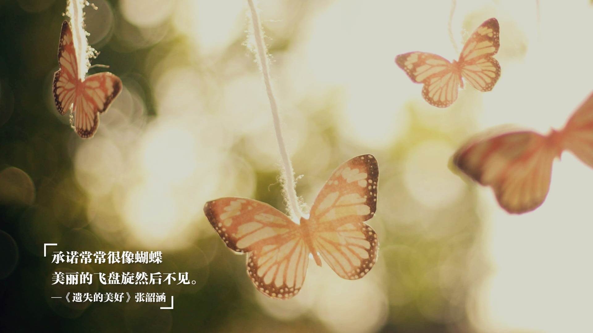 数字化青少年足球培训系统实现个性化成长路径定制,提升训练效果