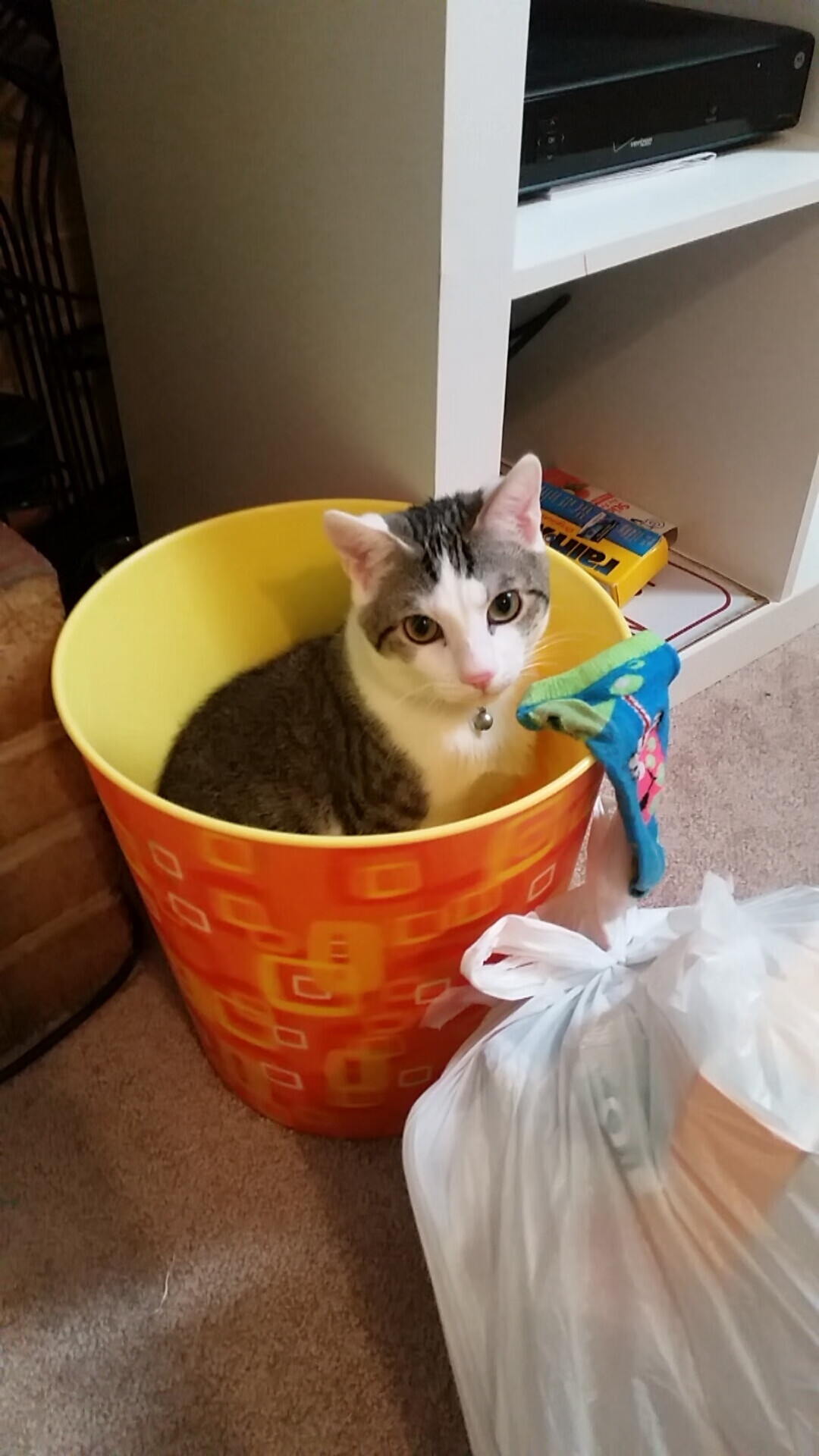 法甲闪耀瞬间：冠军级的战术解读，法甲冠军怎么算